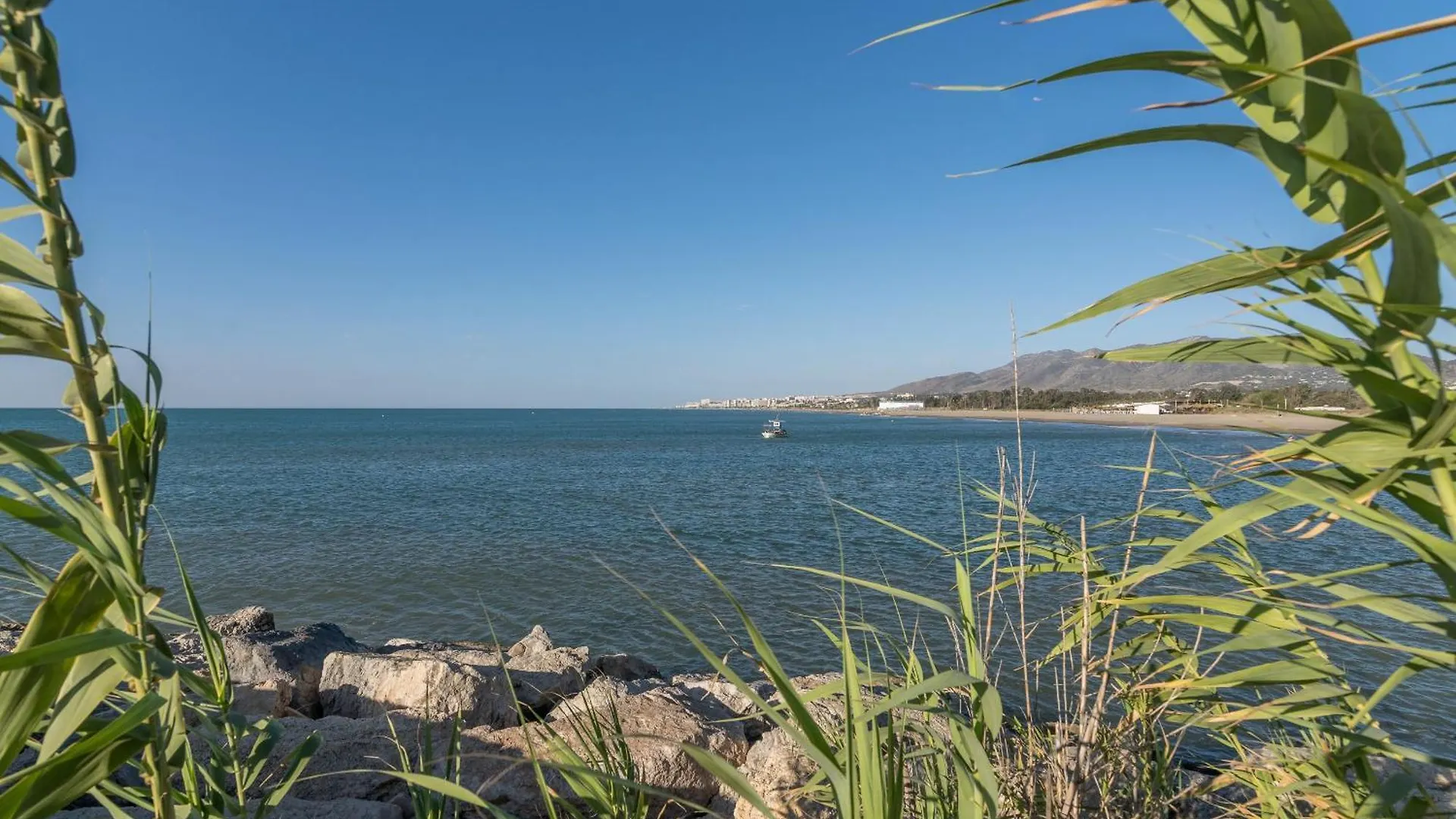 Suite Homes Hesperides 914 Malaga Spain